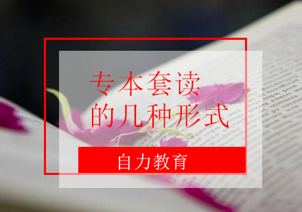 上海專本套讀全攻略：四種高效學歷提升方案解析