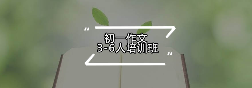 初中作文小班教学实景