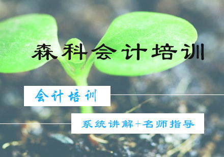 高效备考CPA全攻略：一年通关秘籍解析