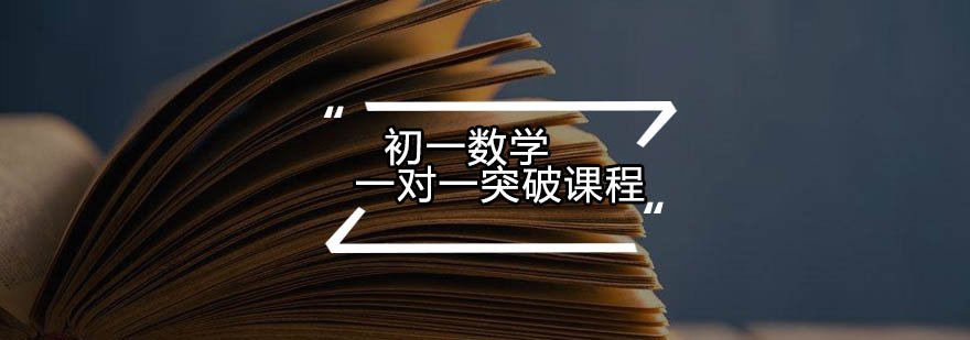 初中数学专项提升