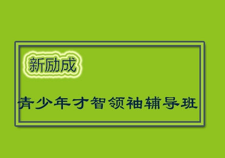济南青少年才智领袖辅导班