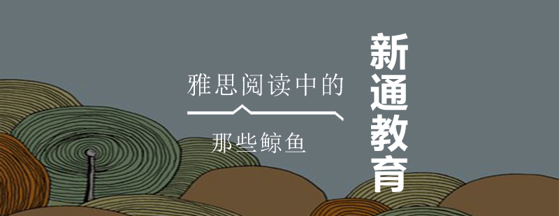 鲸类生物特征示意图