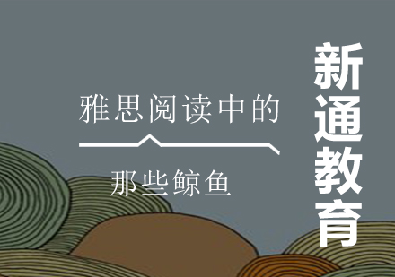 雅思阅读高频考点：鲸类生物特征深度解析