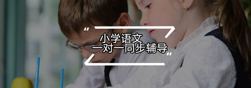 语文辅导课堂实景