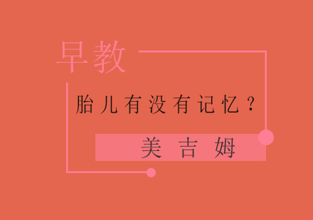 胎儿记忆的奥秘与早期亲子关系构建指南