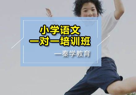小学语文一对一培训班
