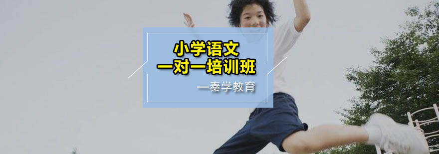 语文专项提升课程