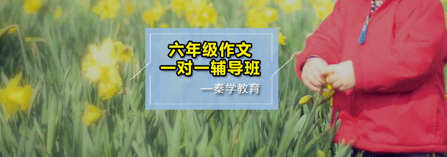 作文辅导课堂实景