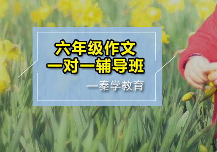 六年级作文一对一辅导班