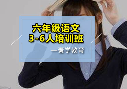 六年级语文3-6人培训班