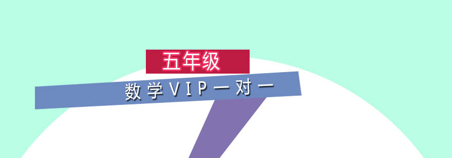 五年级数学VIP一对一培训班