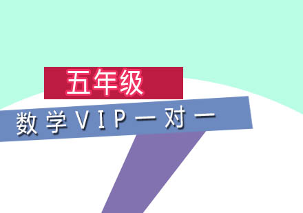 五年级数学VIP一对一培训班