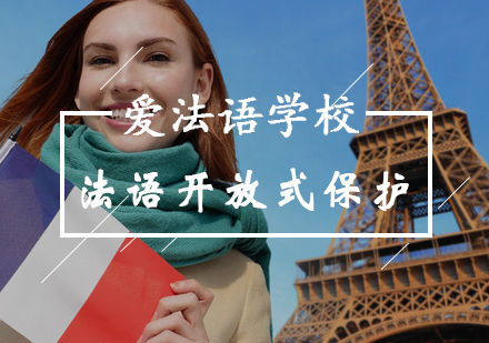 法国语言保护新思路：教育体系中的多元平衡之道