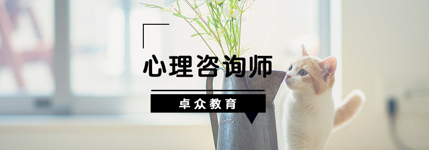 心理咨询实务培训