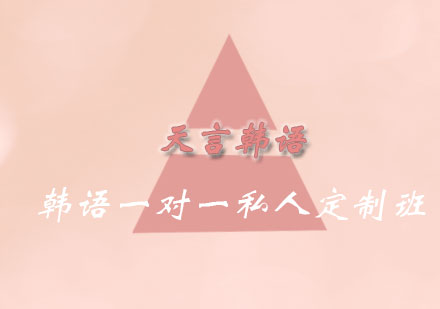 青岛韩语一对一私人定制班