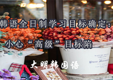 全日制韩语课程规划指南：科学设定语言进阶目标