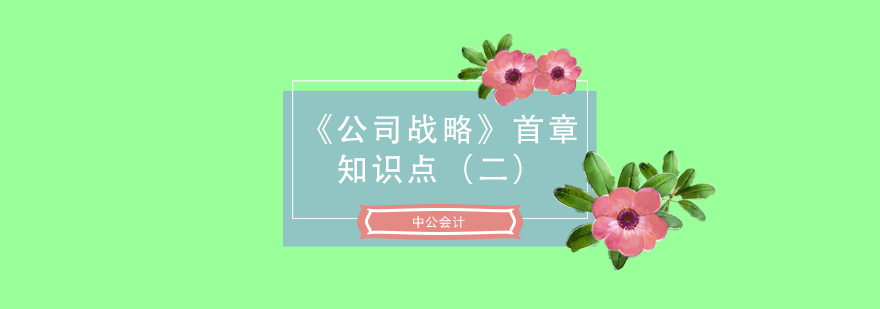 注会考试公司战略首章知识点二