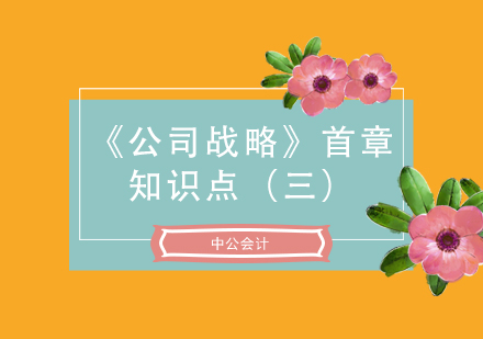 注会考试《公司战略》首章知识点（三）