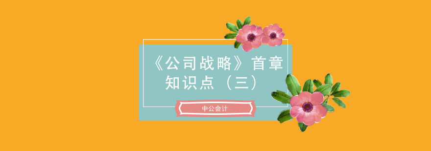 注会考试公司战略首章知识点三