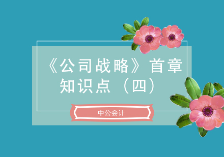 注会考试《公司战略》首章知识点（四）