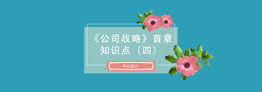 注会考试公司战略首章知识点四