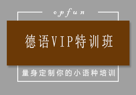 济南德语VIP特训班