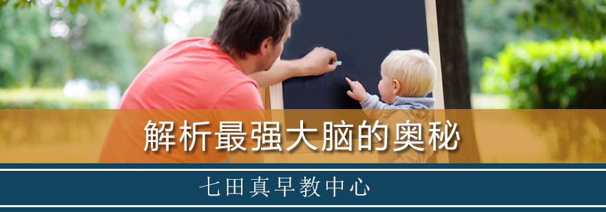 认知能力培养示意图