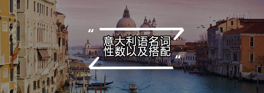 意大利语性数搭配示意图