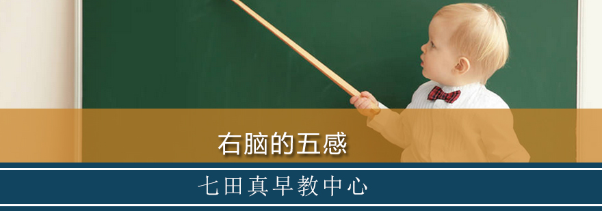 大脑潜能开发示意图