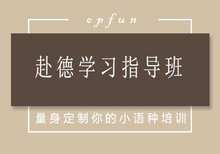 济南赴德学习指导班