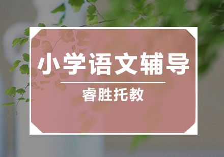 小学语文辅导
