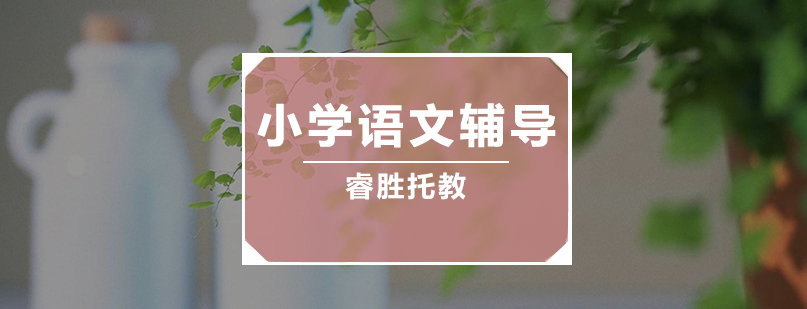 语文学习小组互动