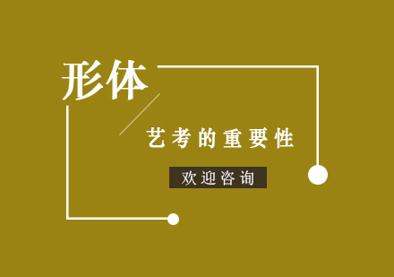 表演艺考形体训练核心要素解析
