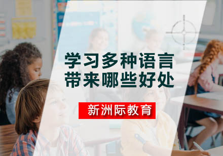 双语学习者认知能力深度解析