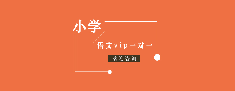 小学语文vip一对一课程