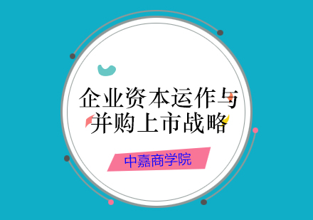 企业资本运作与并购上市战略项目