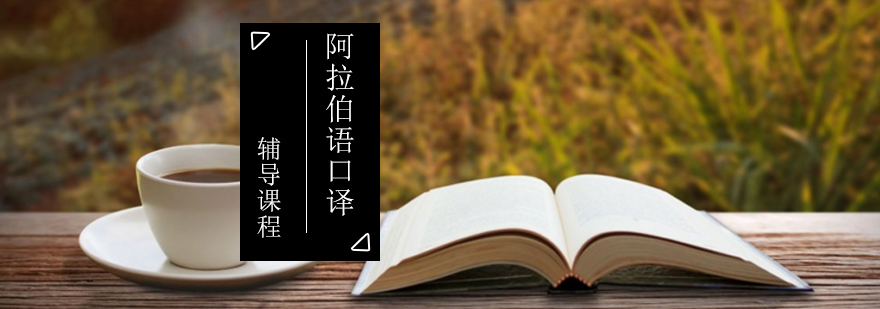 阿拉伯语口译教学场景
