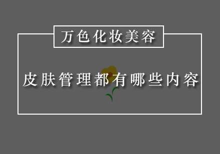 深圳皮肤管理培训学校课程内容都包括什么