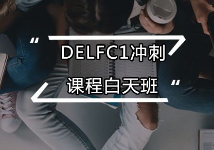 DELFC1冲刺课程白天班