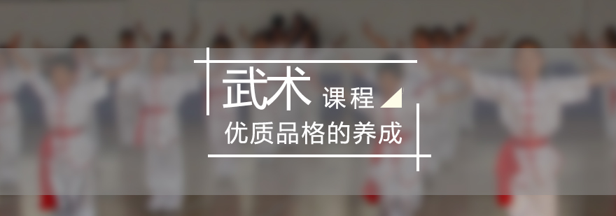 中小学武术课程教学实景