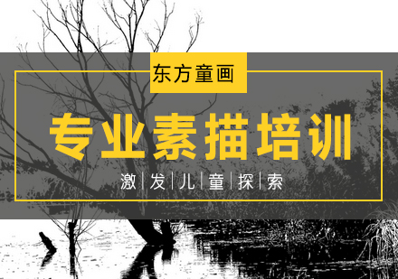 专业素描培训课程