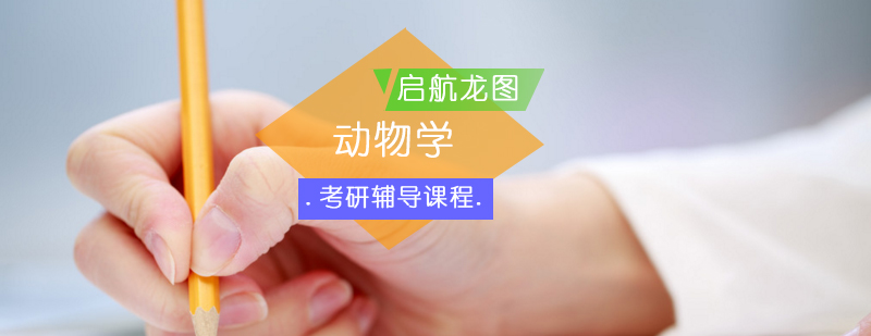 动物学考研课程体系
