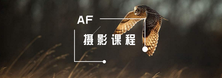 摄影实践教学