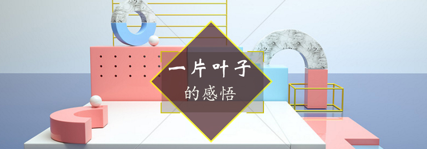教学成果展示