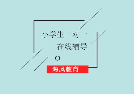 济南小学生一对一在线辅导