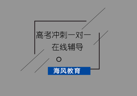 济南高考冲刺在线辅导班