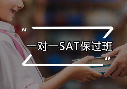 广州一对一SAT班