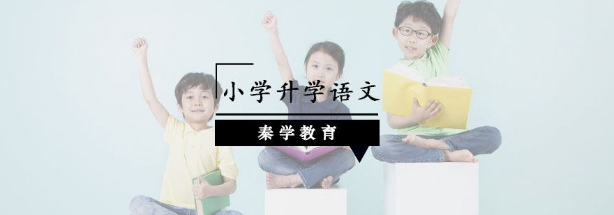 南京小学升学语文阅读课程