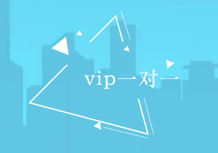 vip一对一辅导班