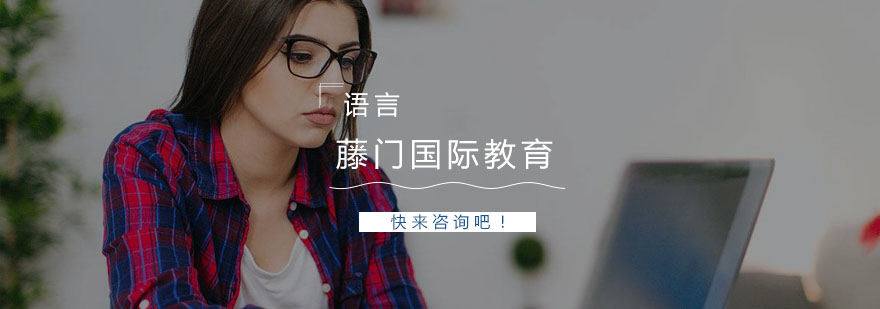 杭州藤门国际教育品牌标识